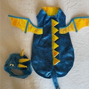 Dog Dragon Costume